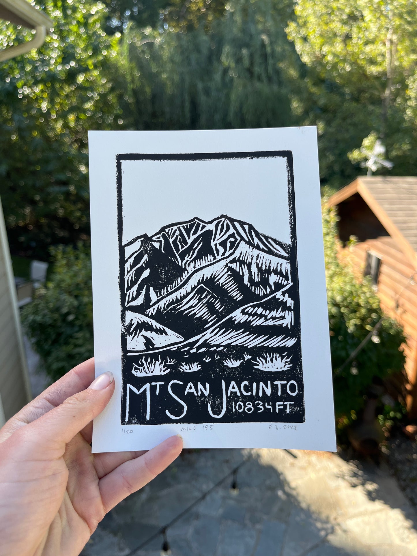 Mt. San Jacinto Print