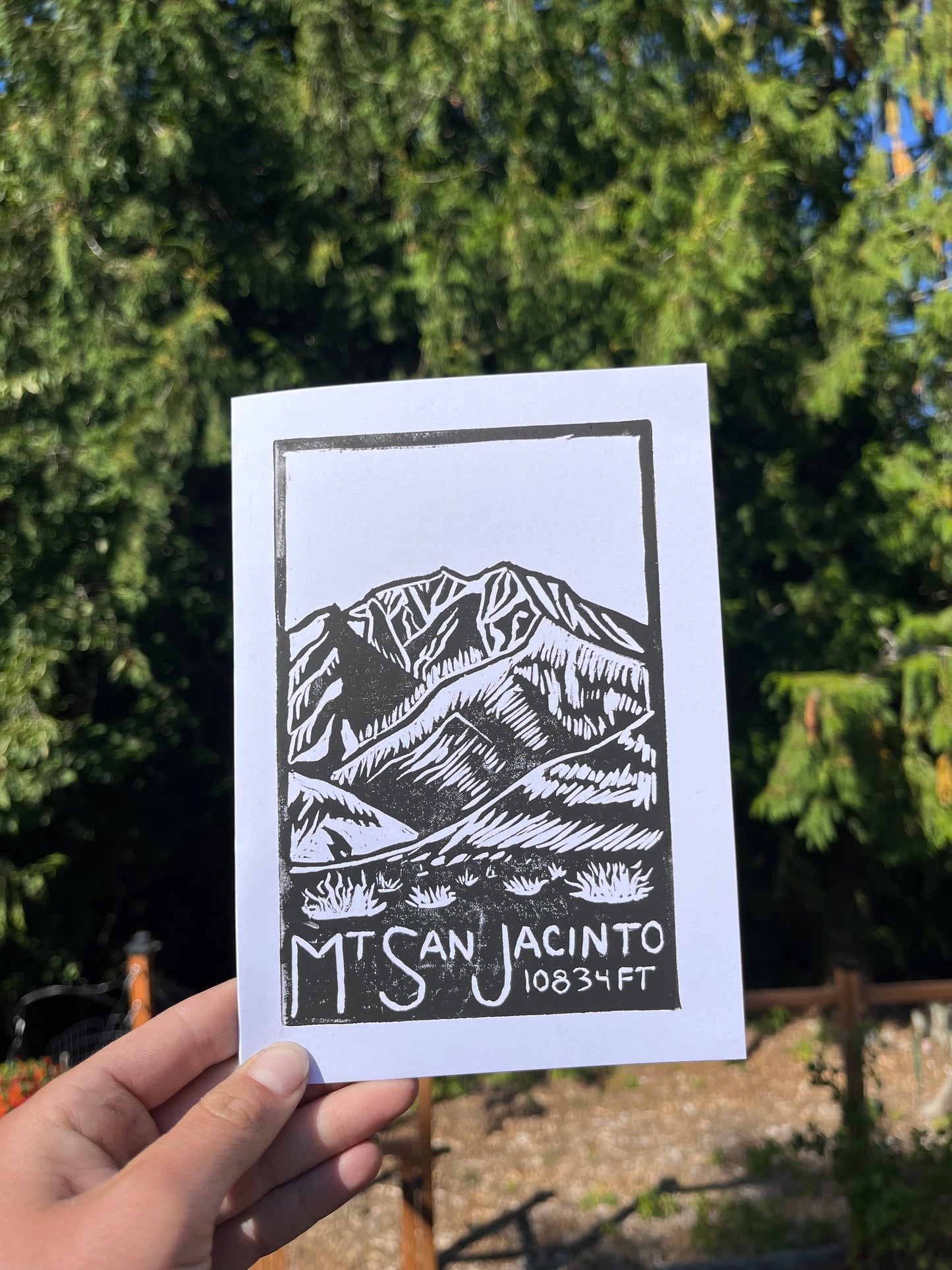 Mt. San Jacinto greeting card