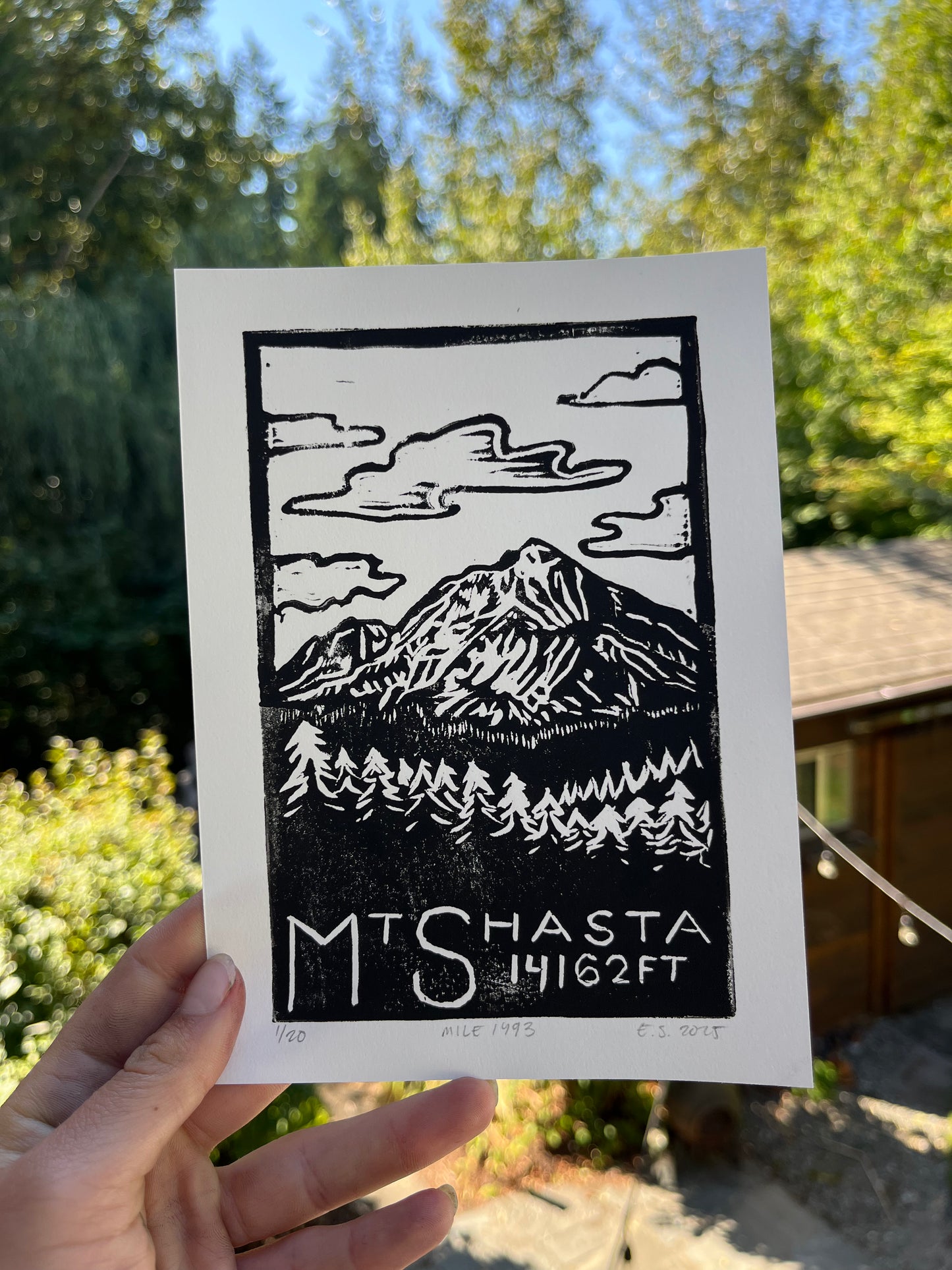 Mt. Shasta print