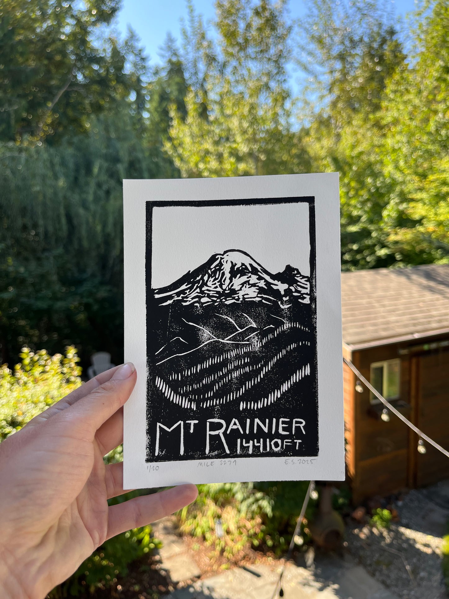 Mt. Rainier print