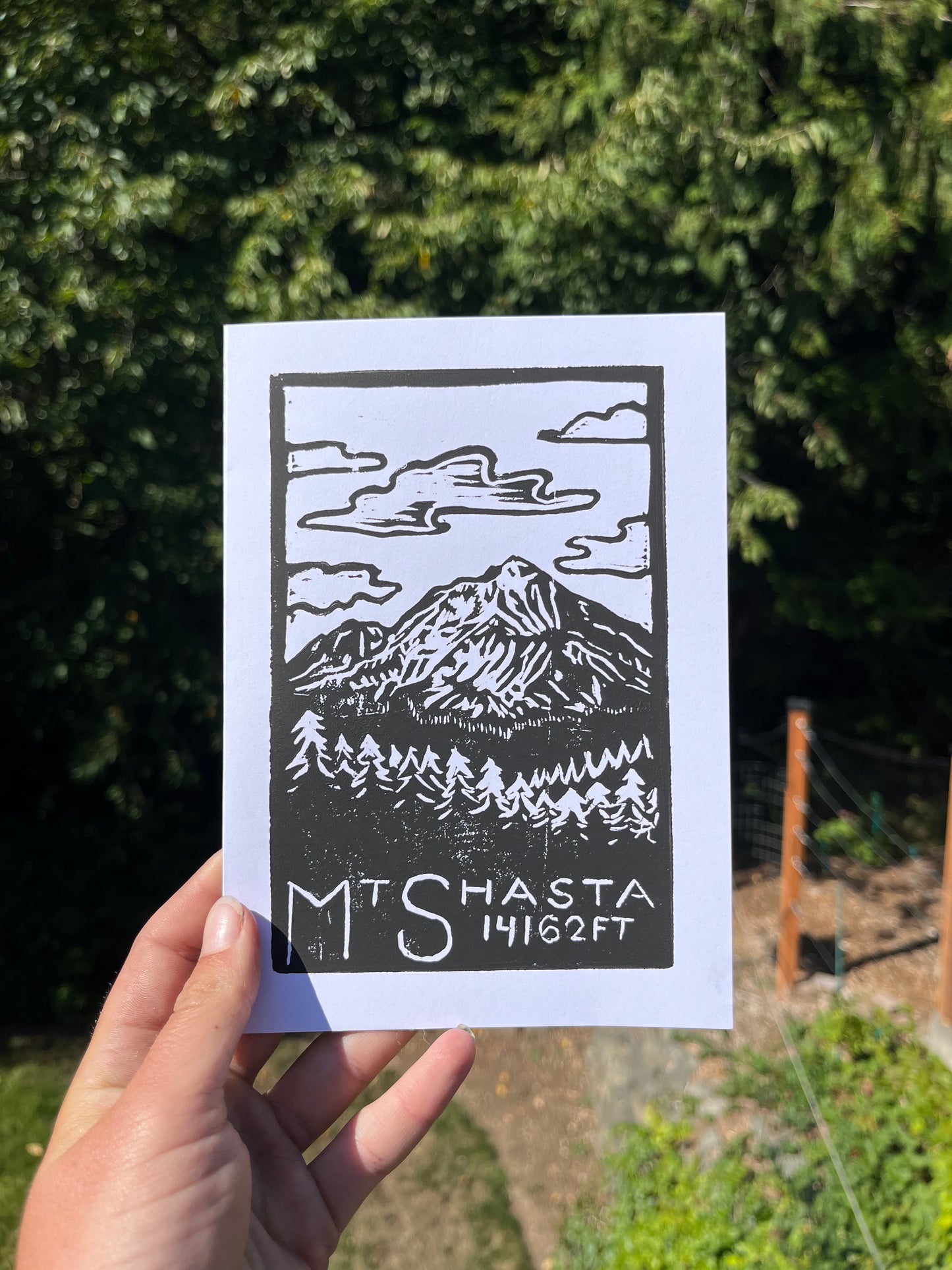 Mt. Shasta greeting card