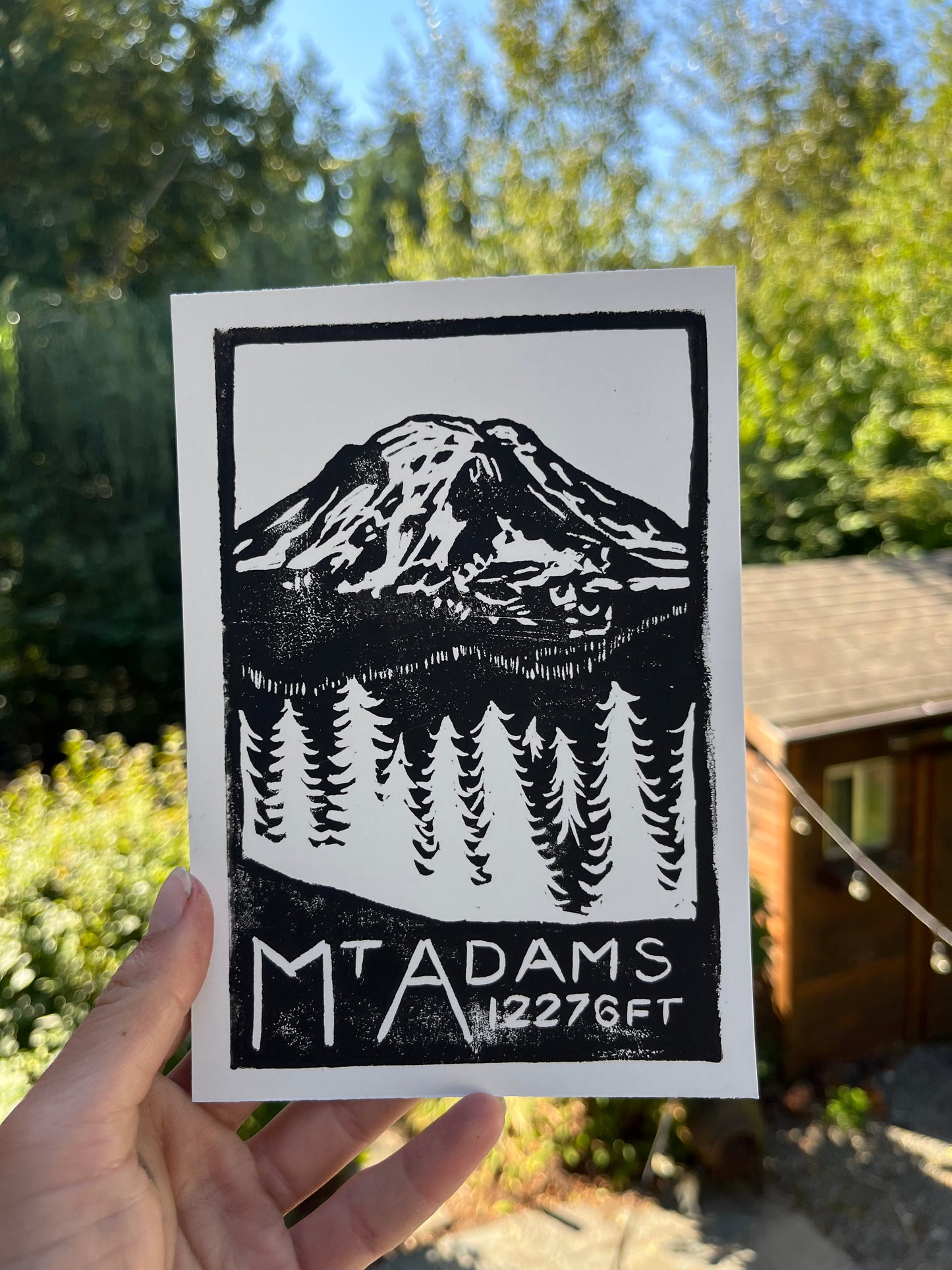 Mt. Adams postcard